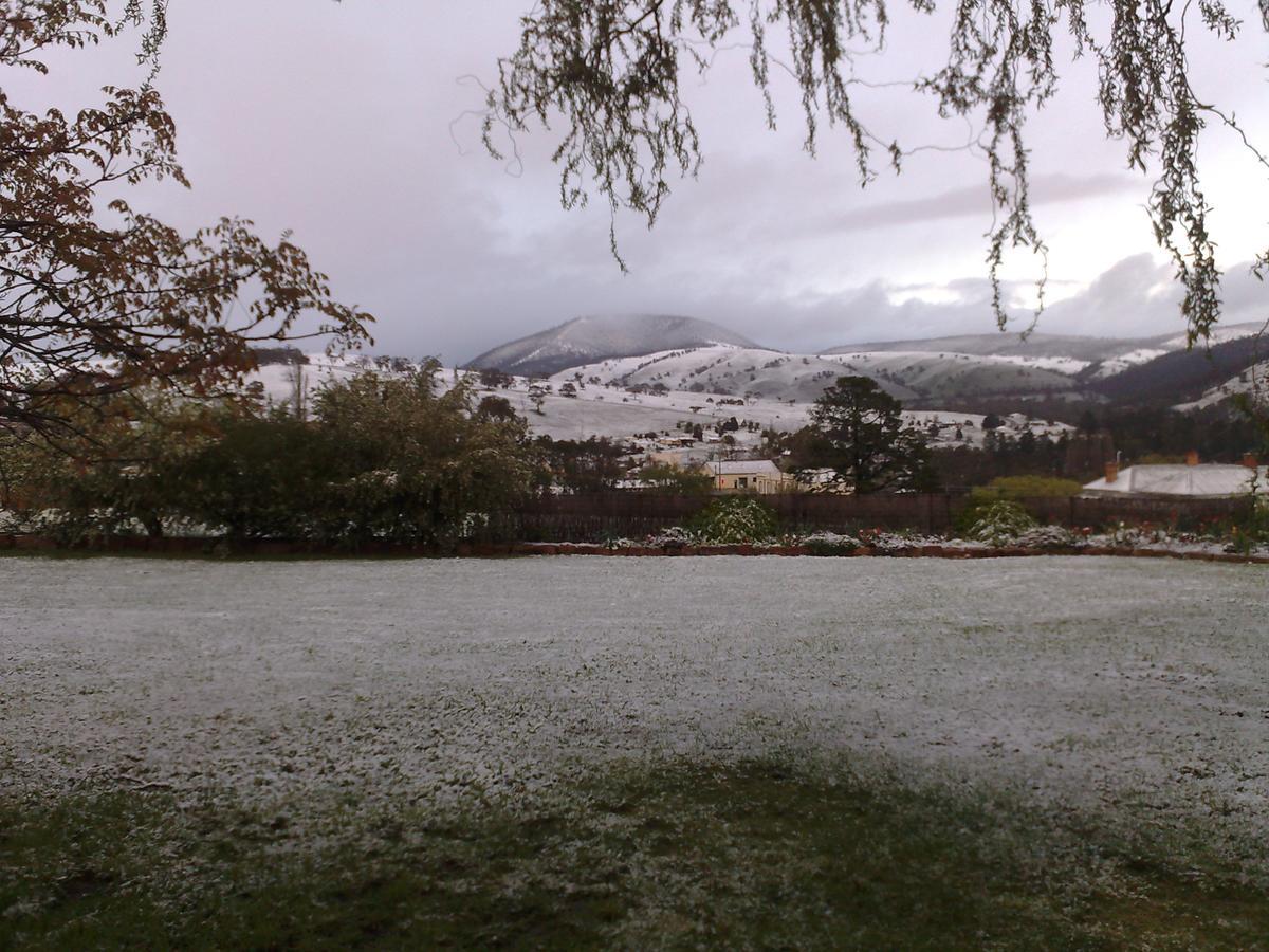 Omeo Motel Luaran gambar