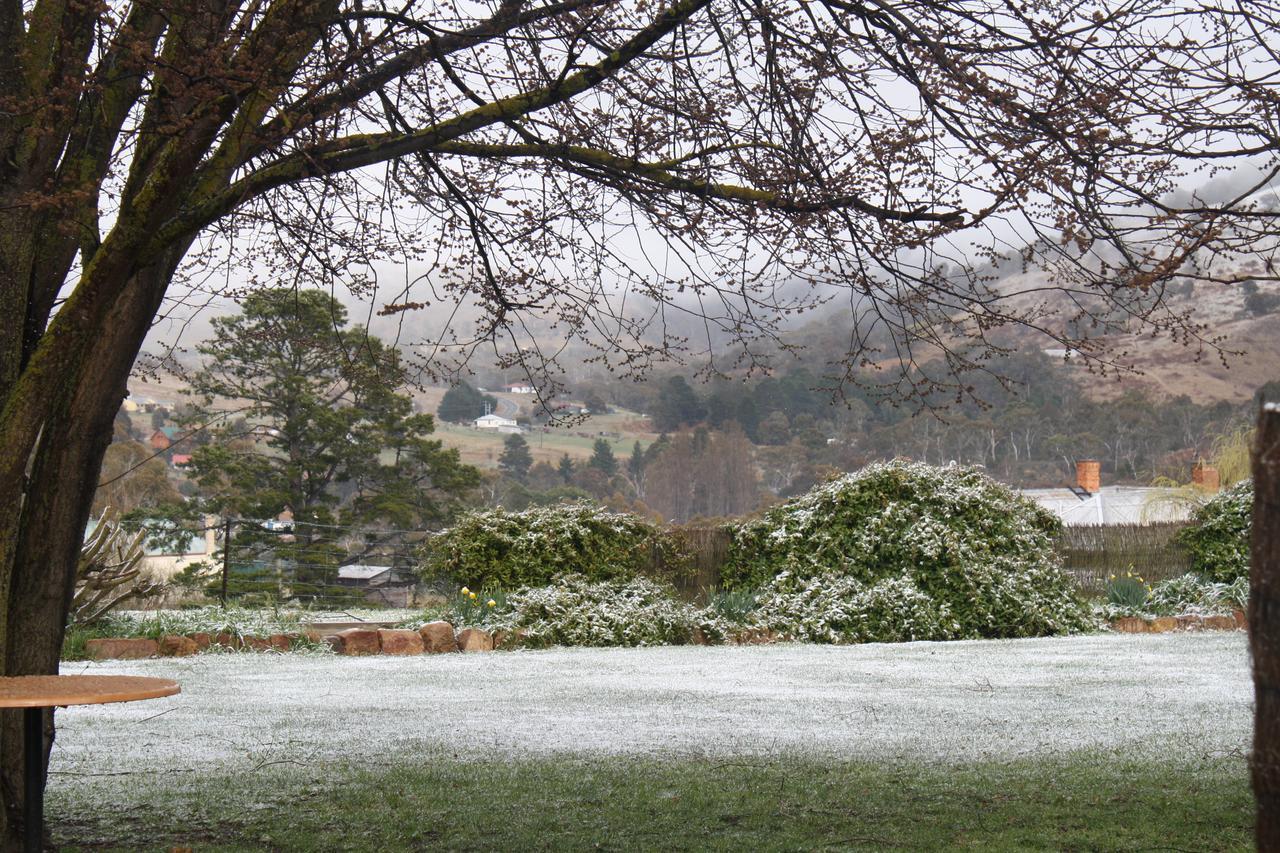 Omeo Motel Luaran gambar